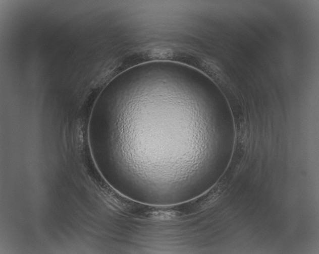X0000056310363200509021543