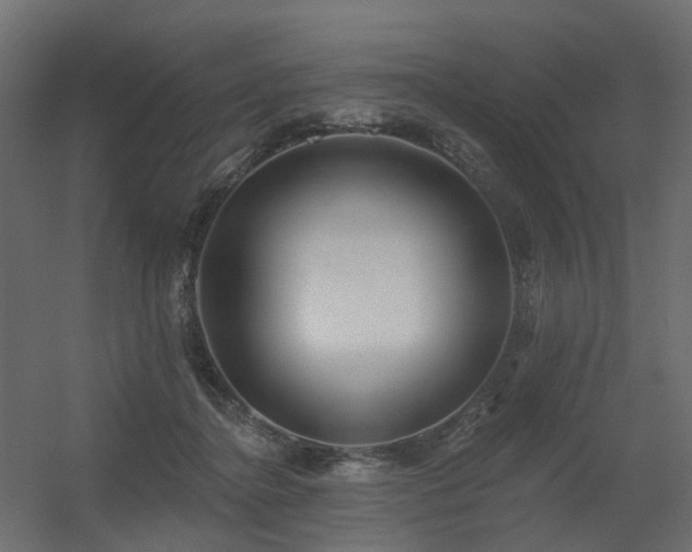 X0000056310364200509021543