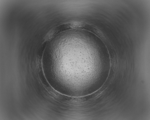 X0000056310367200509021543