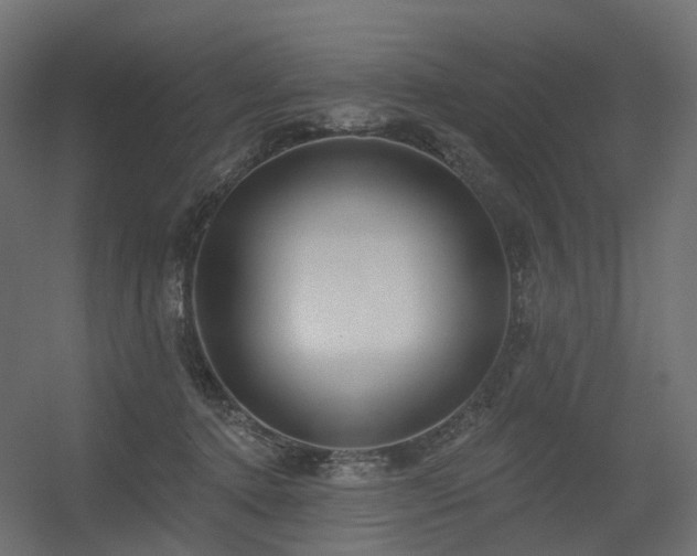 X0000056310368200509021543