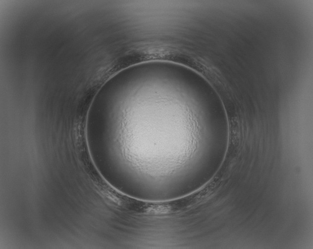 X0000056310369200509021543