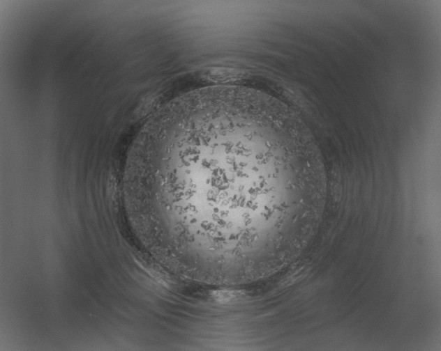 X0000056310371200509021543