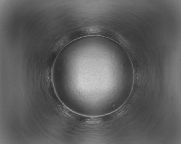 X0000056310373200509021543