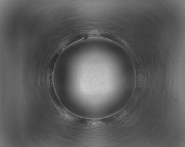 X0000056310379200509021543