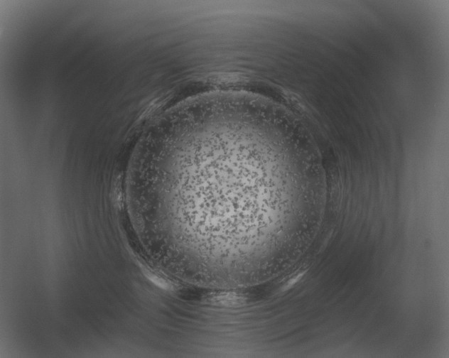 X0000056310383200509021543