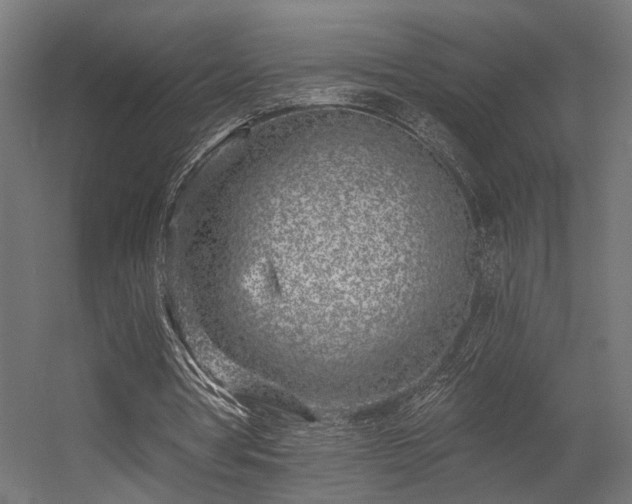 X0000056310386200509021542