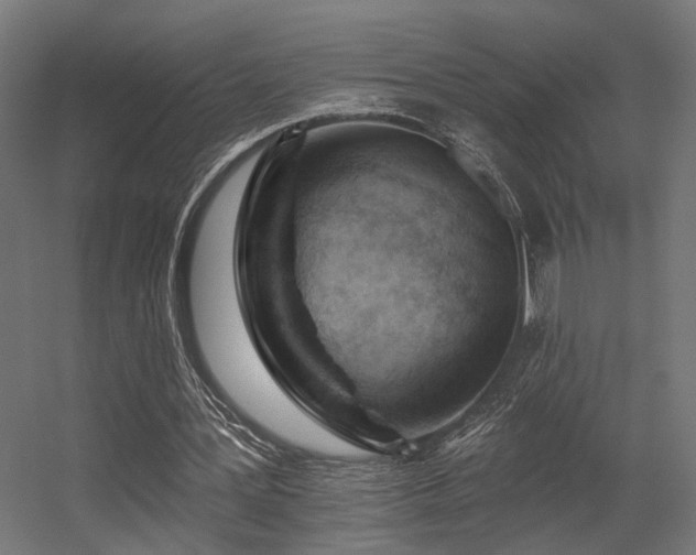 X0000056310387200509021542
