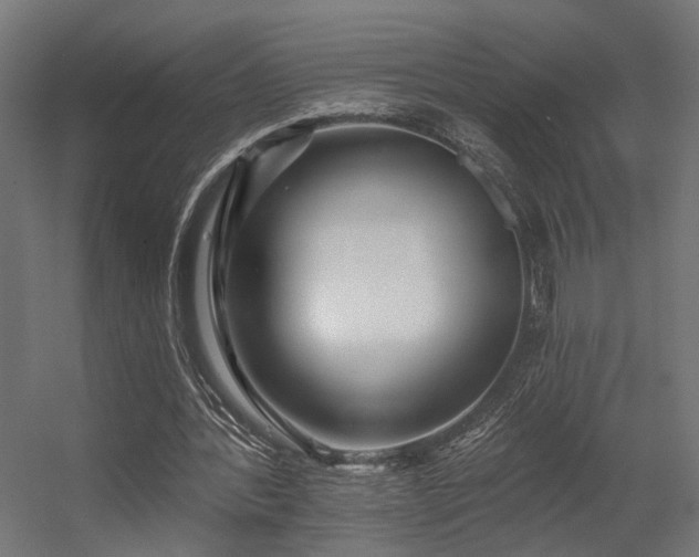 X0000056310388200509021542