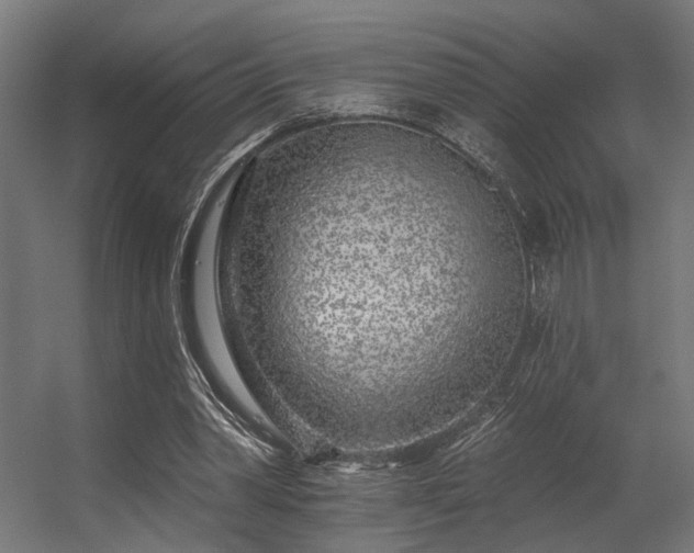 X0000056310390200509021542