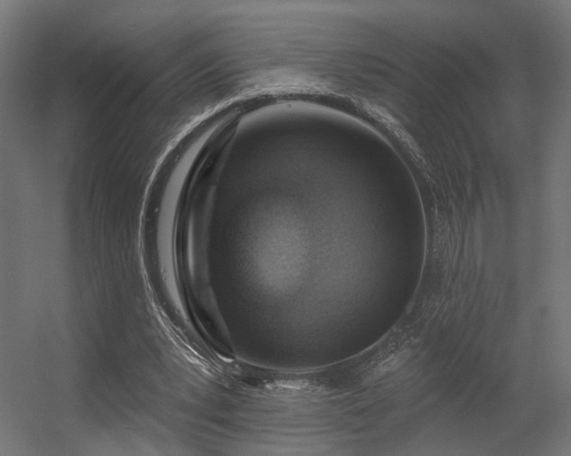 X0000056310391200509021542