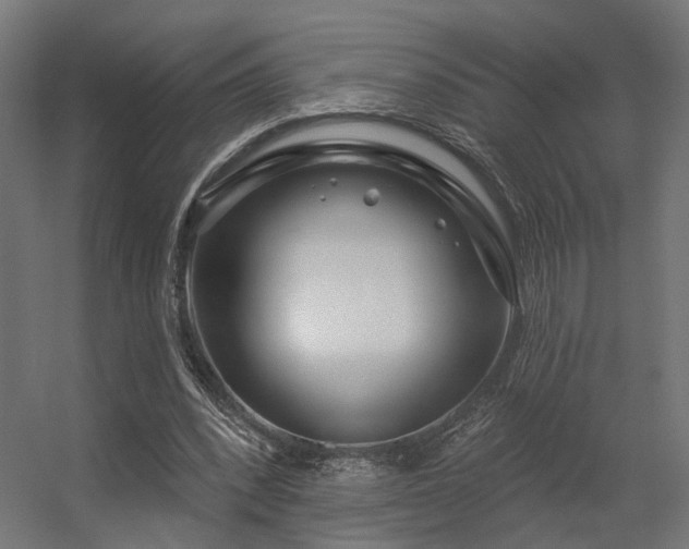 X0000056310392200509021542