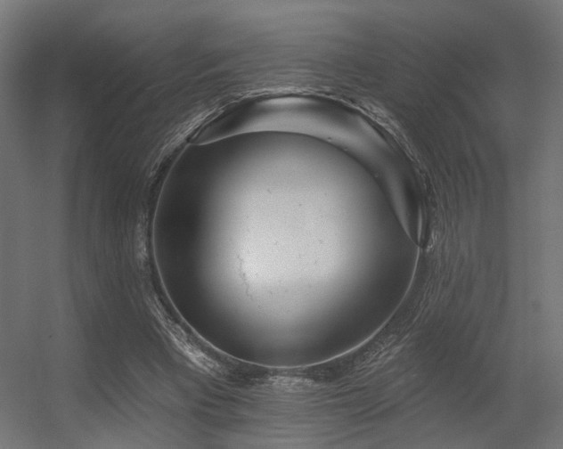 X0000056310393200509021542