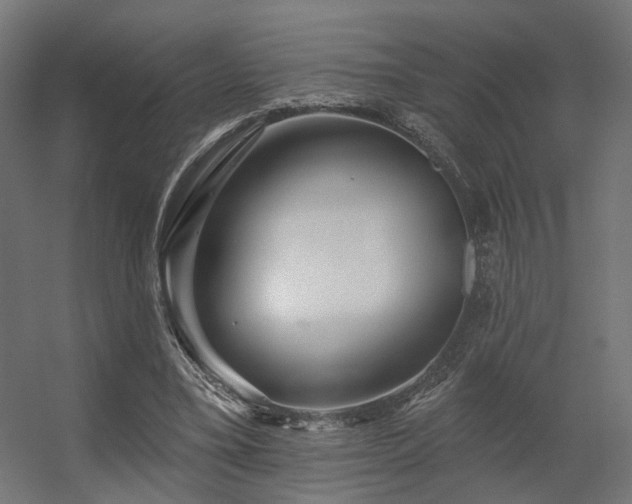 X0000056310395200509021542