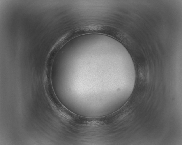 X0000056310396200509021542