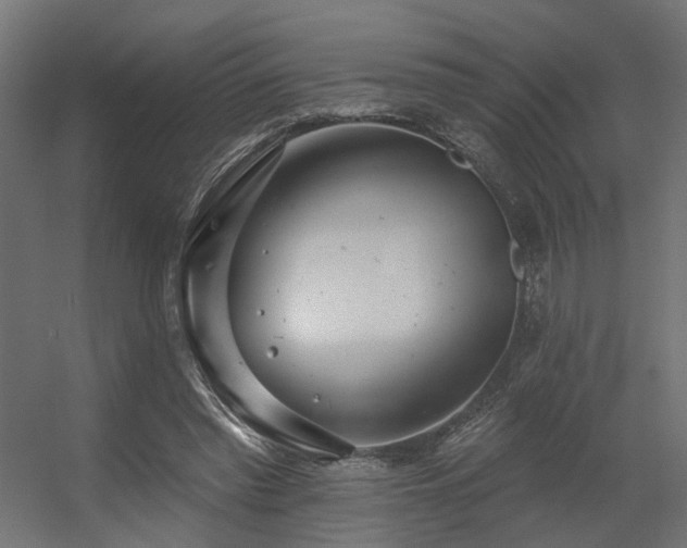 X0000056310397200509021542