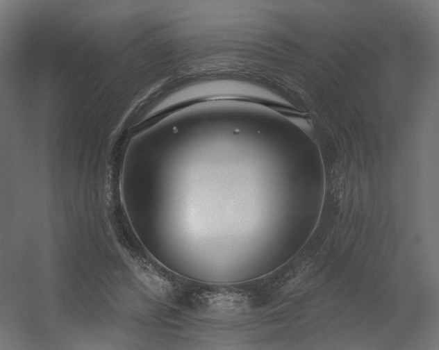 X0000056310400200509021542