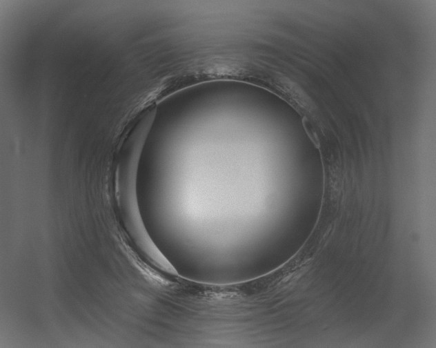 X0000056310401200509021542