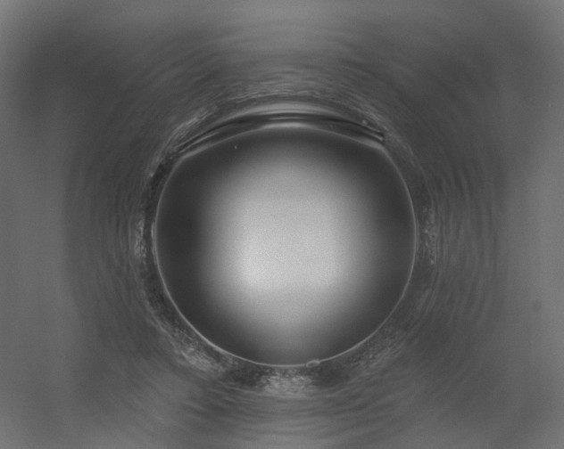 X0000056310403200509021542