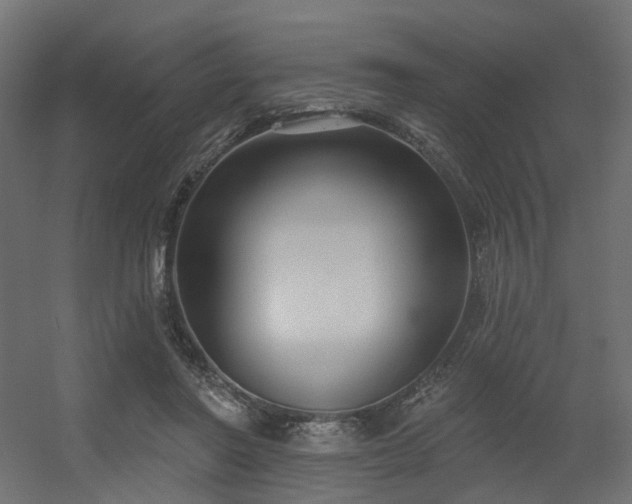 X0000056310406200509021542