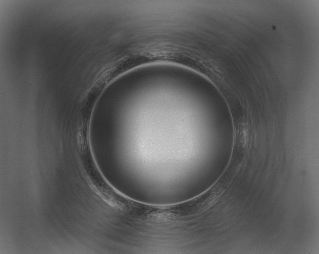 X0000056310408200509021542