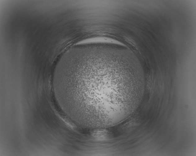 X0000056310410200509021542