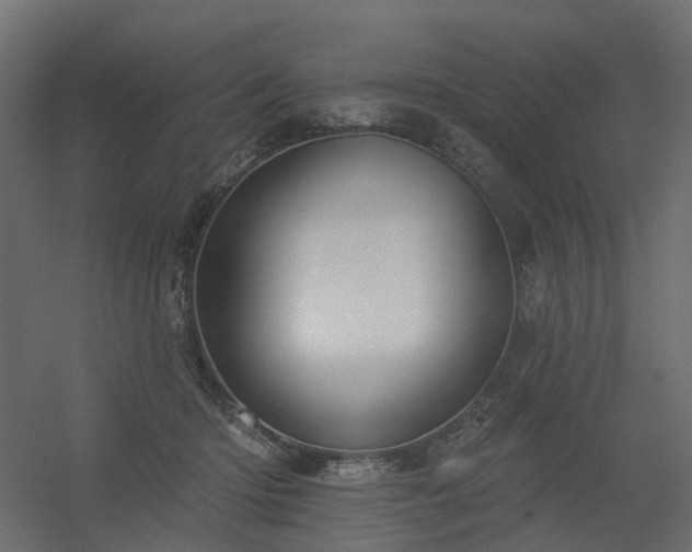 X0000056310414200509021542