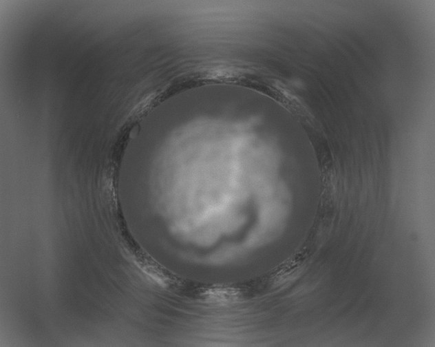 X0000056310415200509021542