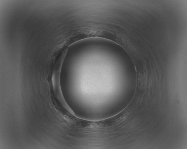 X0000056310416200509021542