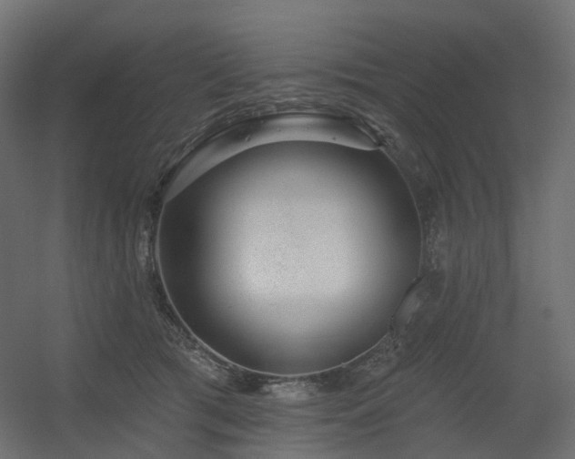 X0000056310417200509021542