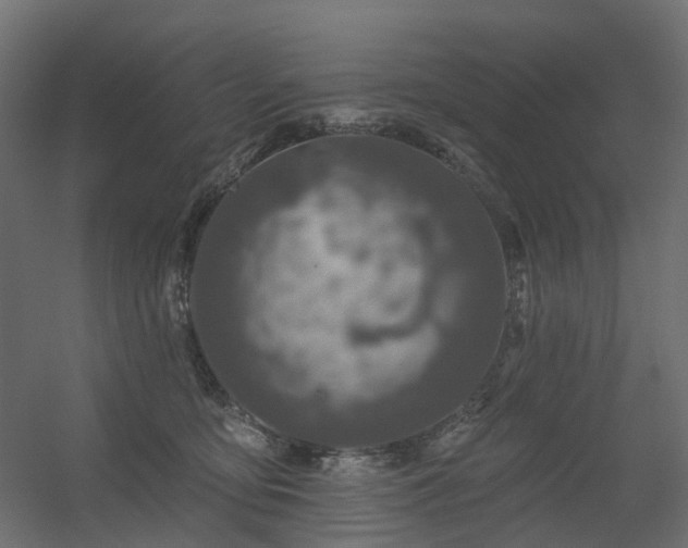 X0000056310419200509021542
