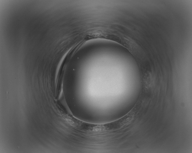 X0000056310420200509021542
