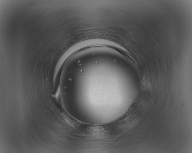X0000056310424200509021542