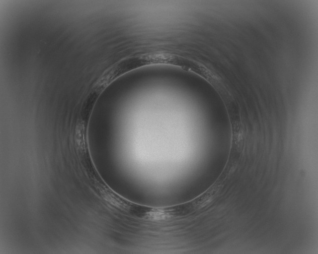 X0000056310425200509021542