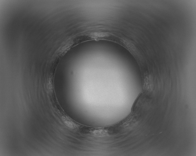 X0000056310426200509021542
