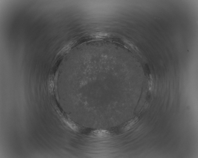 X0000056310427200509021542