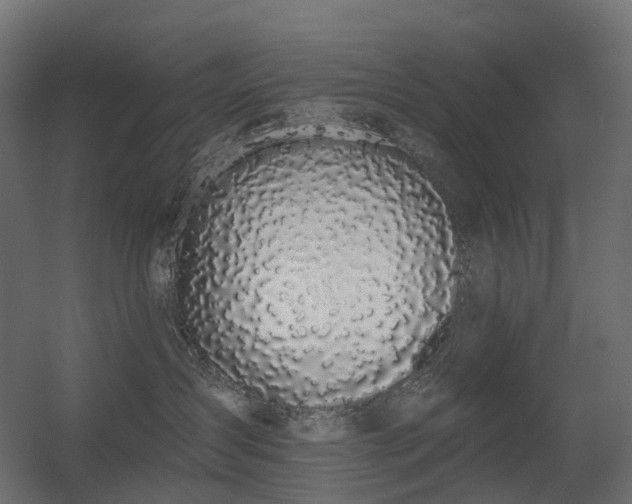 X0000056310431200509021542