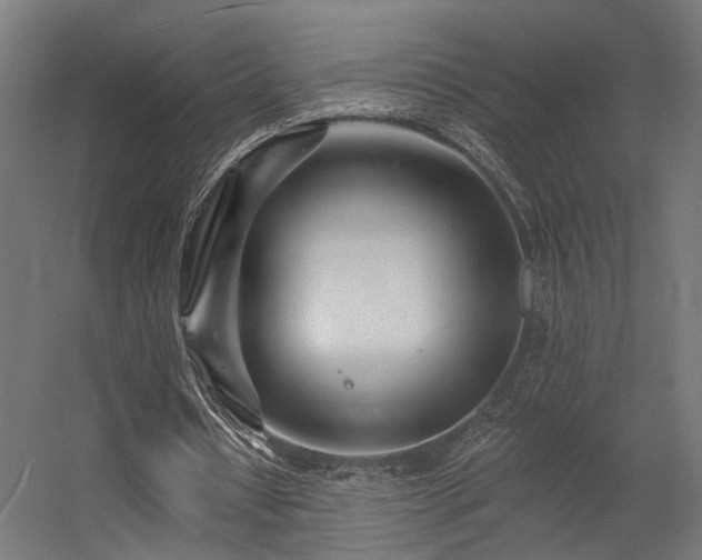 X0000056310434200509021541