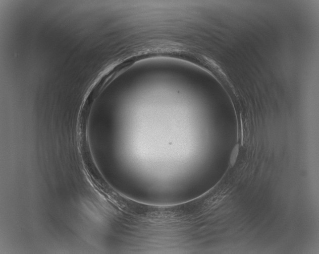 X0000056310435200509021541