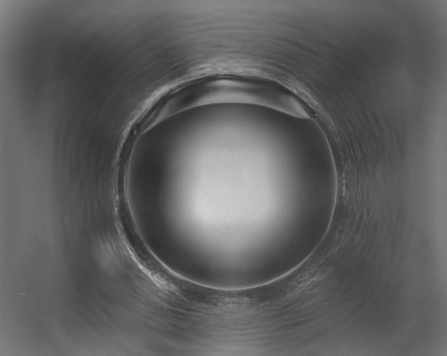 X0000056310438200509021541