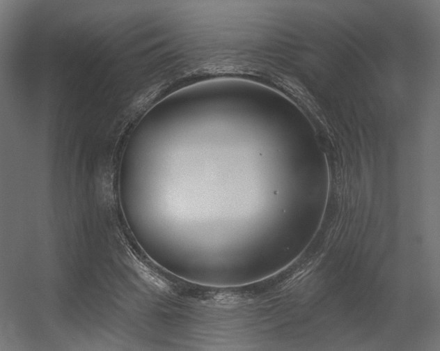 X0000056310441200509021541