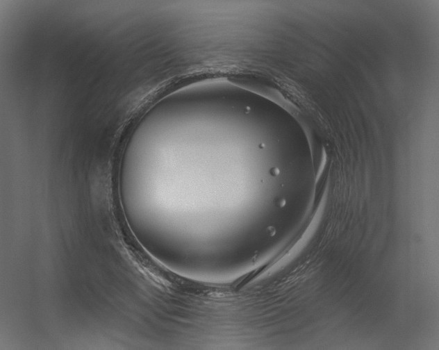 X0000056310442200509021541