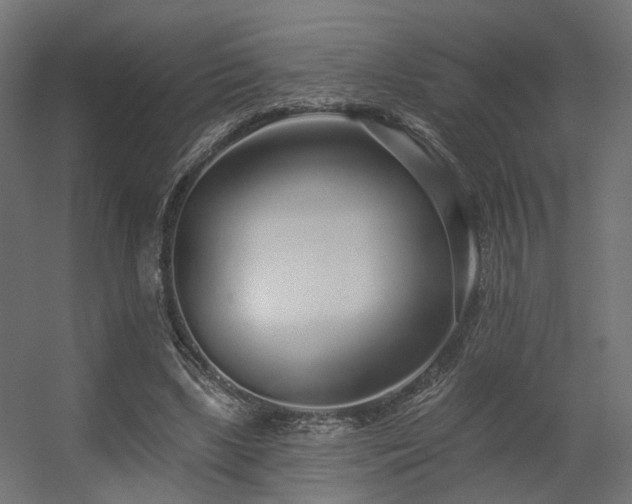 X0000056310443200509021541
