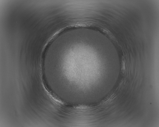 X0000056310444200509021541