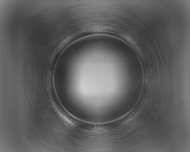 X0000056310445200509021541