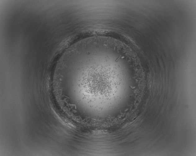 X0000056310451200509021541