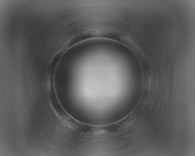 X0000056310456200509021541