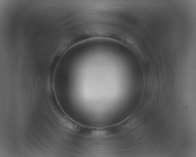 X0000056310457200509021541