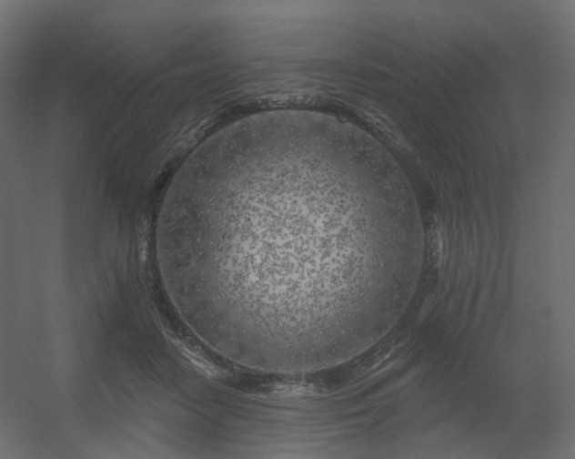 X0000056310458200509021541