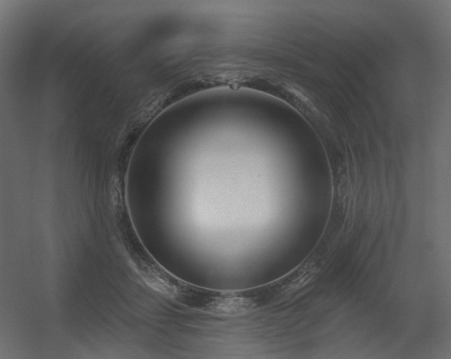 X0000056310459200509021541