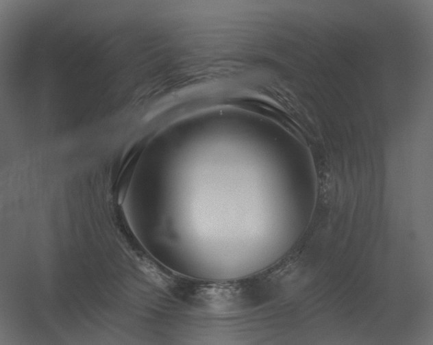 X0000056310466200509021541